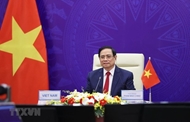 阐述越南党和国家一贯的外交政策